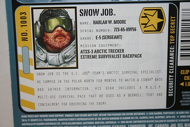 G.I. Joe: Pursuit of Cobra - Snow Job