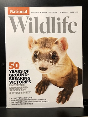 National Wildlife Magazine Archive