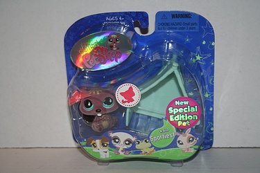 Littlest Pet Shop - #810 - Beaver with Tent and Bow - Special Edition!