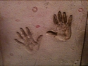 Extra Photos