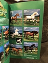 Toy Catalogs: 1997 Ertl Toys, Toy Fair Catalog