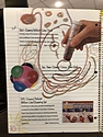 Toy Catalogs: 1989 Ohio Art Toy Fair Catalog
