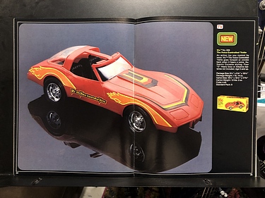 Schaper 1979 Catalog - Voice Controlled Vette!