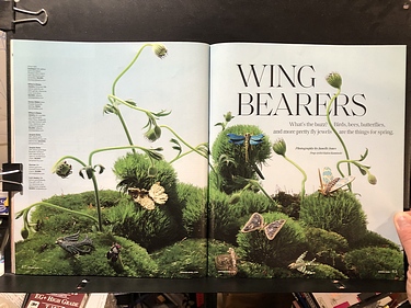Gem + Jewel, A Jewelers Mutual Publication, 2024 Spring Catalog