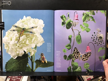 Gem + Jewel, A Jewelers Mutual Publication, 2024 Spring Catalog