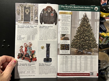 Hammacher Schlemmer, 2024 Gift Catalog
