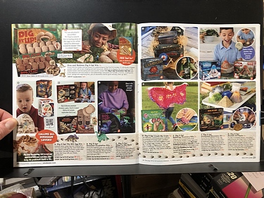 Mindware, 2023 Halloween Catalog
