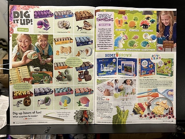 Mindware, 2024 Fall Catalog