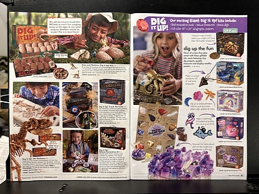 Mindware, 2024 Fall Catalog