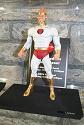 DC Universe Classics