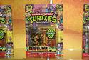 Donatello with Bo Staff
