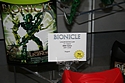 Lego - Bionicle