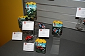 Lego - Racers