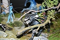 Mattel - Avatar