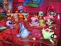 Hasbro - Littlest Pet Shop