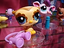 Hasbro - Littlest Pet Shop