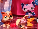 Hasbro - Littlest Pet Shop