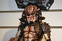 <?php echo NECA; ?> - Predators