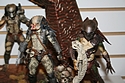 <?php echo NECA; ?> - Predators