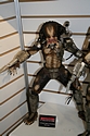 <?php echo NECA; ?> - Predators