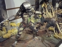 <?php echo NECA; ?> - Predators