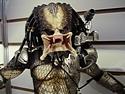 <?php echo NECA; ?> - Predators