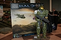 General Show Images