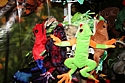Sunny Puppets