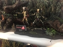 NECA - Predator