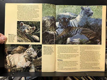 3-2-1 Contact - February, 1983