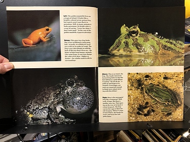 3-2-1 Contact - April, 1983