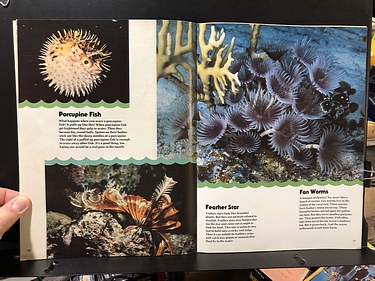 3-2-1 Contact - September, 1983