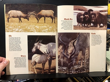 3-2-1 Contact - October, 1983