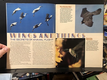 3-2-1 Contact - November, 1983