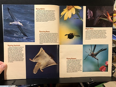 3-2-1 Contact - November, 1983