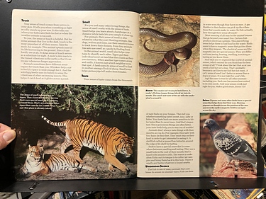 3-2-1 Contact - Dec. 1983/Jan. 1984