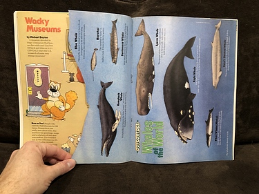 3-2-1 Contact - July/August, 1986