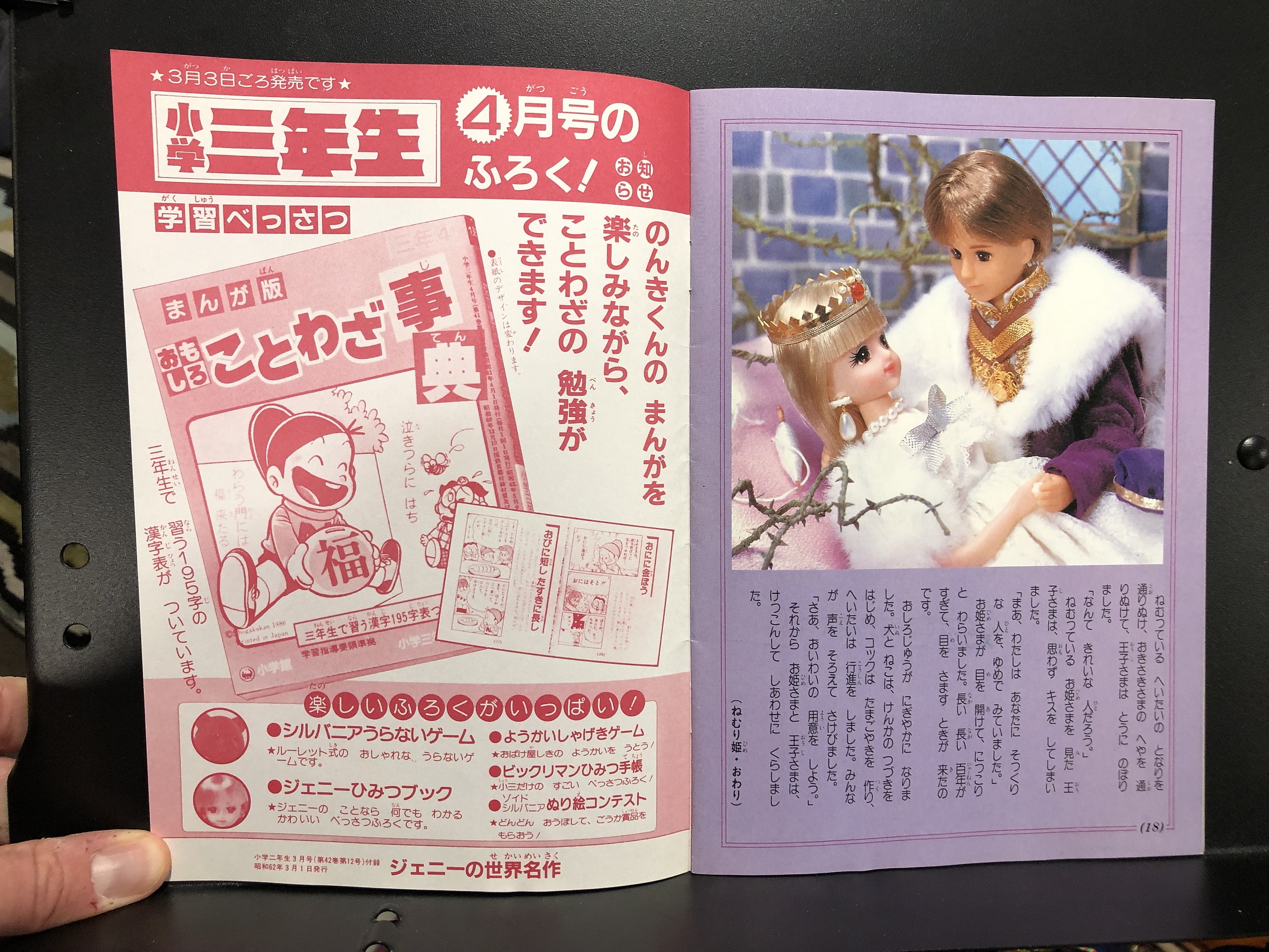 Jenny Catalog, Japan March 1987 Parry Game Preserve