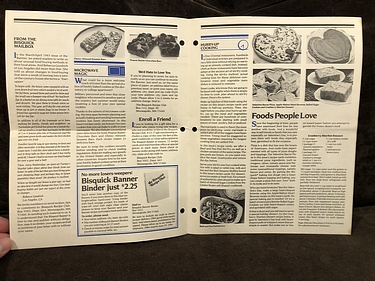 The Bisquick Banner - January/February, 1984
