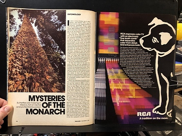 Discover Magazine - December, 1980