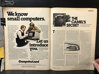 Discover Magazine - December, 1980