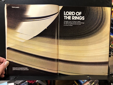 Discover Magazine - January, 1981