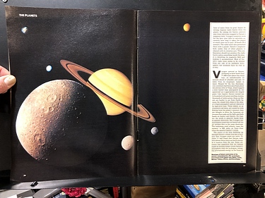 Discover Magazine - January, 1981