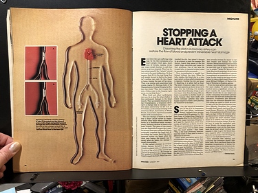 Discover Magazine - January, 1981