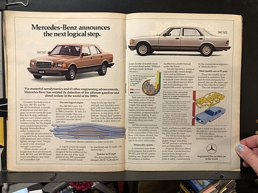 Discover Magazine - January, 1981