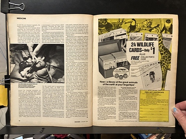 Discover Magazine - January, 1981
