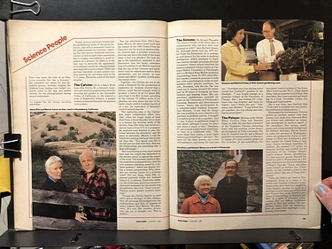 Discover Magazine - January, 1981