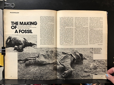 Discover Magazine - January, 1981