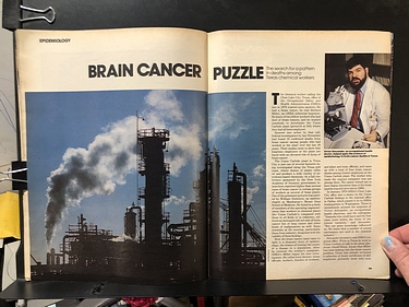 Discover Magazine - January, 1981