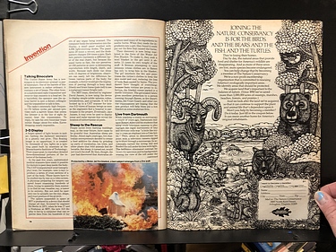 Discover Magazine - January, 1981